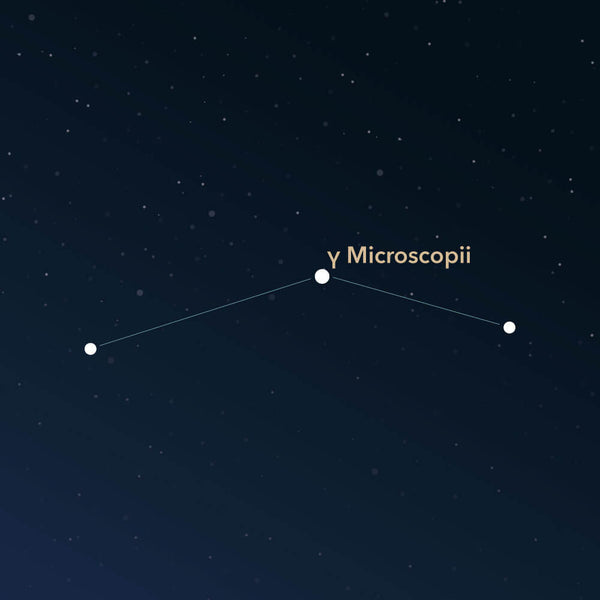 Das Sternbild Mikroskop